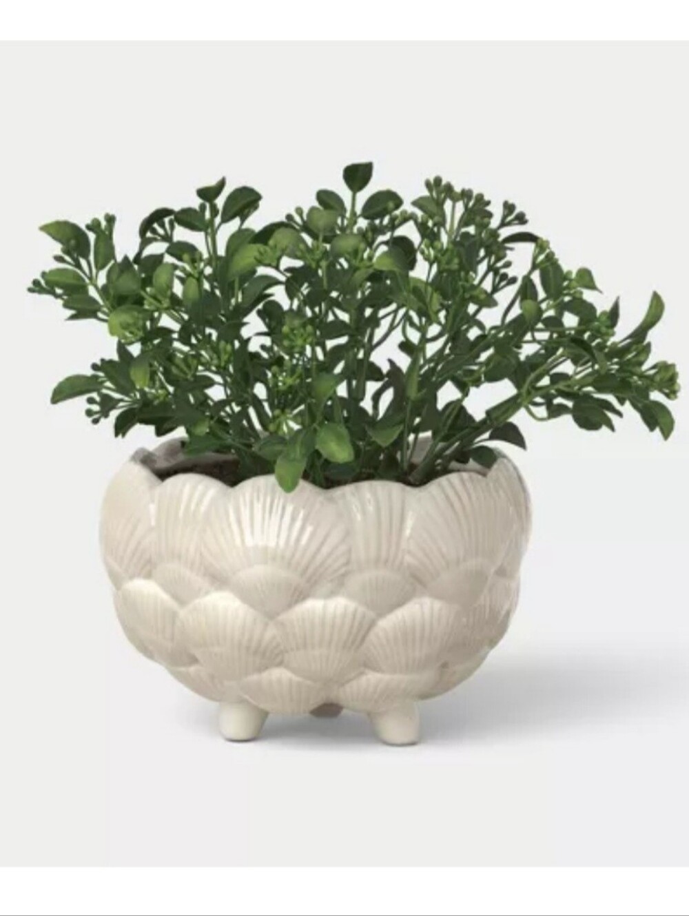 6" Ceramic Outdoor Clam Shell Planter Ivory - Threshold™ designed with Studio Mc